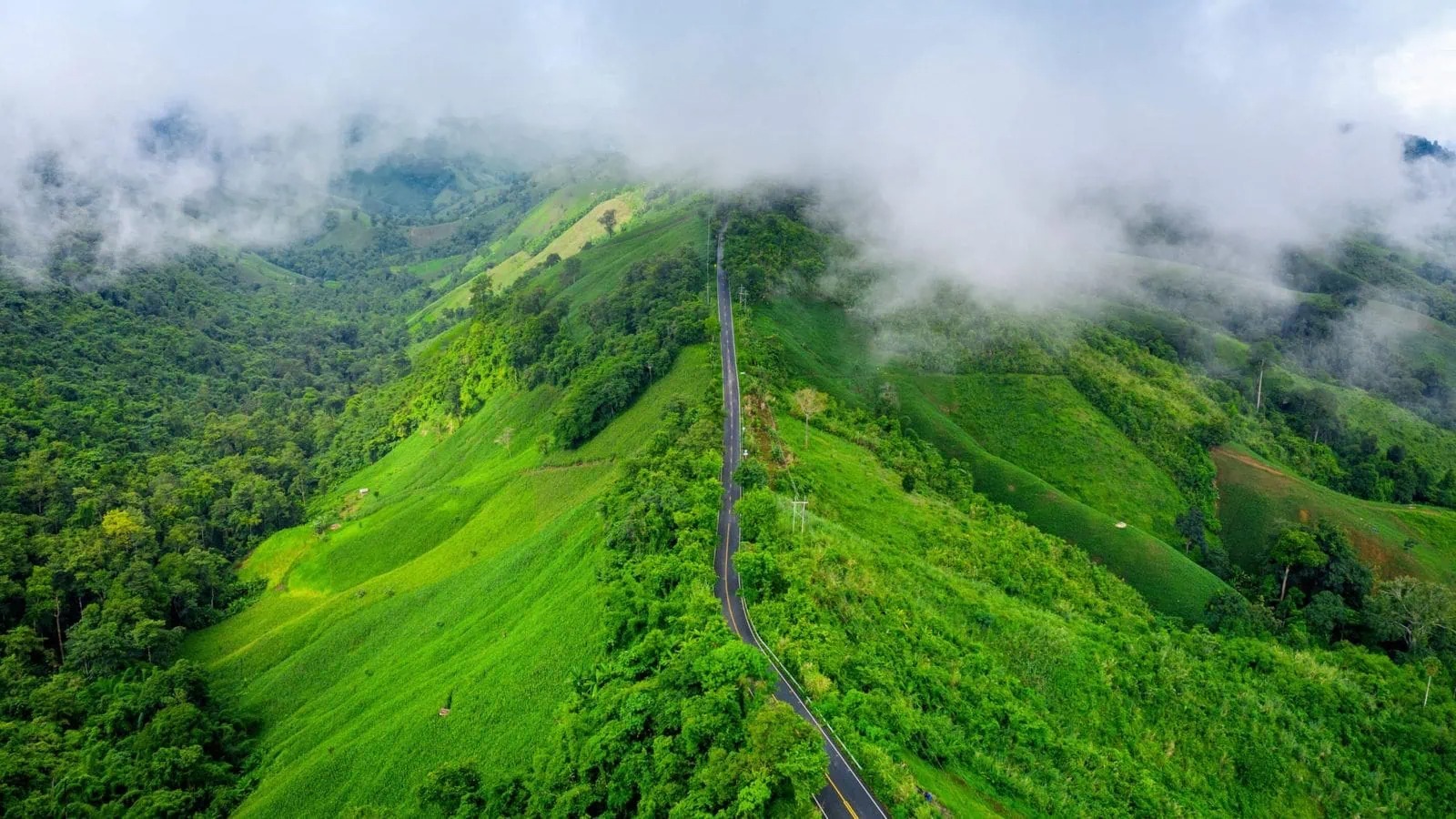 Hills of Tamil Nadu Tour Package 5N/6D | SVR Tours